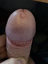 Geiler, foto 3000x4000, 1 reacties, 5 stemmen