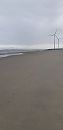 Genieten, foto 1944x4000, 3 reacties, 12 stemmen