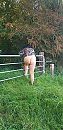 Genieten van het uitzicht....., foto 727x1496, 14 reacties, 35 stemmen