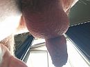 Geschoren, foto 4000x3000, 4 reacties, 9 stemmen