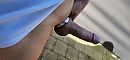 Gewillig en geringd....., foto 4000x1868, 0 reacties, 5 stemmen