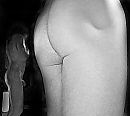 Gewoon mooi, foto 534x480, 1 reacties, 3 stemmen