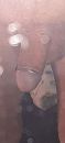Gewoon, foto 1845x4000, 8 reacties, 16 stemmen