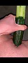 Gezond 1, foto 1080x2340, 10 reacties, 42 stemmen