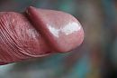 Glimmede eikel ..., foto 4000x2666, 4 reacties, 10 stemmen
