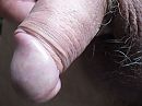 Glimmende eikel, foto 2656x1992, 1 reacties, 7 stemmen