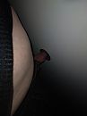 Gloryhole bj, foto 3000x4000, 1 reacties, 5 stemmen