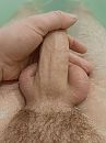 Goed geschoren?, foto 3000x4000, 2 reacties, 6 stemmen