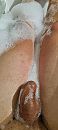 Goede avondt, foto 1801x4000, 3 reacties, 7 stemmen
