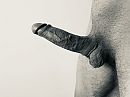 Goede morgen, foto 4000x3000, 2 reacties, 11 stemmen