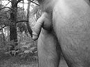 Goedeavond, foto 2048x1536, 0 reacties, 5 stemmen