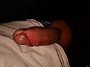 Goedemorgen, foto 4000x3000, 0 reacties, 3 stemmen