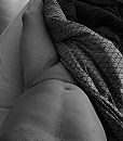 Goedemorgen ism….., foto 3024x3427, 1 reacties, 4 stemmen