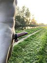 Goedemorgen, foto 2320x3088, 13 reacties, 53 stemmen