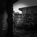 Goeiemorgen, foto 2410x2451, 6 reacties, 13 stemmen