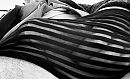 Grab stripes, foto 3715x2264, 0 reacties, 3 stemmen