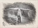 Handstand, foto 592x440, 1 reacties, 14 stemmen