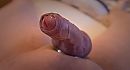 Hard en Nat .., foto 1976x1080, 5 reacties, 20 stemmen