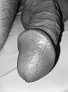 Hard!!!, foto 3000x4000, 12 reacties, 60 stemmen