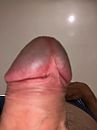 Harde eikel, foto 2320x3088, 3 reacties, 3 stemmen
