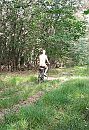 Heerlijk fietsweer., foto 1204x1751, 3 reacties, 18 stemmen