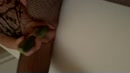 Heerlijk, film 00:00:16, 134 reacties, 337 stemmen