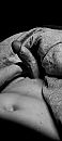 Heerlijke harde ochtendpaal, foto 1801x4000, 9 reacties, 25 stemmen