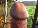Herfst in het bos, foto 1280x960, 2 reacties, 4 stemmen