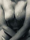 Herplaatsing, foto 768x1024, 33 reacties, 118 stemmen