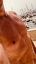 Het is warm …, foto 360x640, 0 reacties, 3 stemmen