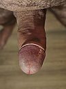 Het weekend, foto 3000x4000, 1 reacties, 11 stemmen