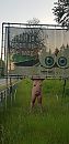 Hier niet inhalen....., foto 1112x2287, 6 reacties, 42 stemmen