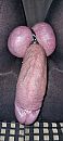 Hij staat op knappen., foto 1801x4000, 2 reacties, 10 stemmen
