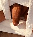 Hij vraagt weer om aandacht, foto 903x1000, 7 reacties, 13 stemmen