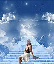 Hijenzijsamen in heaven, foto 661x782, 2 reacties, 7 stemmen