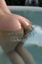 Hmmm, foto 1440x2183, 11 reacties, 36 stemmen