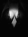 Hoi, foto 3000x4000, 23 reacties, 72 stemmen