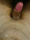 Hoofd boven, foto 3000x4000, 0 reacties, 8 stemmen