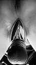 How’s it hangin’, foto 994x1783, 1 reacties, 9 stemmen