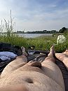 Ik mis de zomer, foto 3000x4000, 6 reacties, 23 stemmen