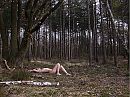 In het bos, foto 800x600, 1 reacties, 14 stemmen