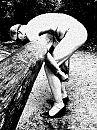 In het bos, foto 840x1121, 5 reacties, 17 stemmen