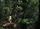 In het bos, foto 800x600, 1 reacties, 8 stemmen