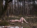 In het bos, foto 800x600, 4 reacties, 30 stemmen