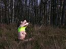 In het bos, foto 800x600, 5 reacties, 28 stemmen