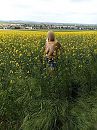 In het gele veld, foto 1201x1600, 3 reacties, 26 stemmen