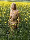 In het gele veld, foto 1201x1600, 20 reacties, 93 stemmen