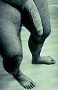 Is dit wat?, foto 1234x1886, 9 reacties, 15 stemmen