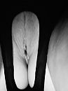 Jaaaaa, foto 1200x1600, 35 reacties, 118 stemmen