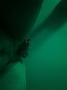 Jacuzzi, foto 3000x4000, 1 reacties, 6 stemmen